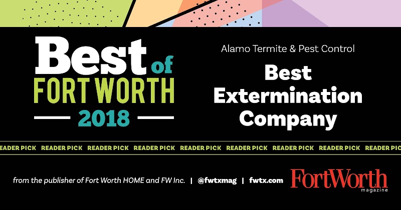 Alamo Termite & Pest Control image 8