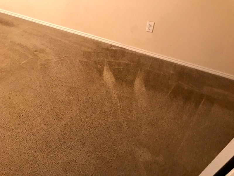 All Star Carpet Cleaning and Dye image 5