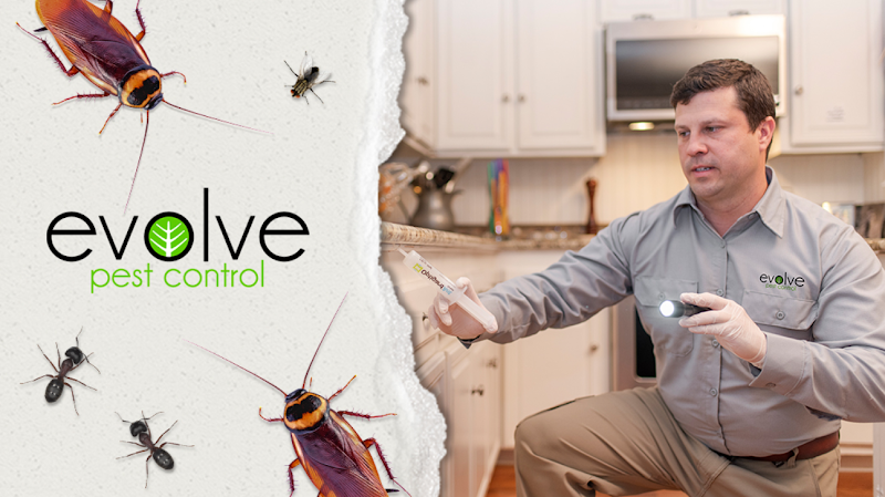 Evolve Pest Control image 1