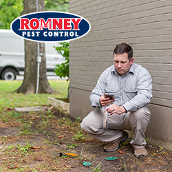 Romney Pest Control image 7