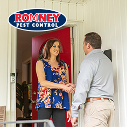 Romney Pest Control image 4