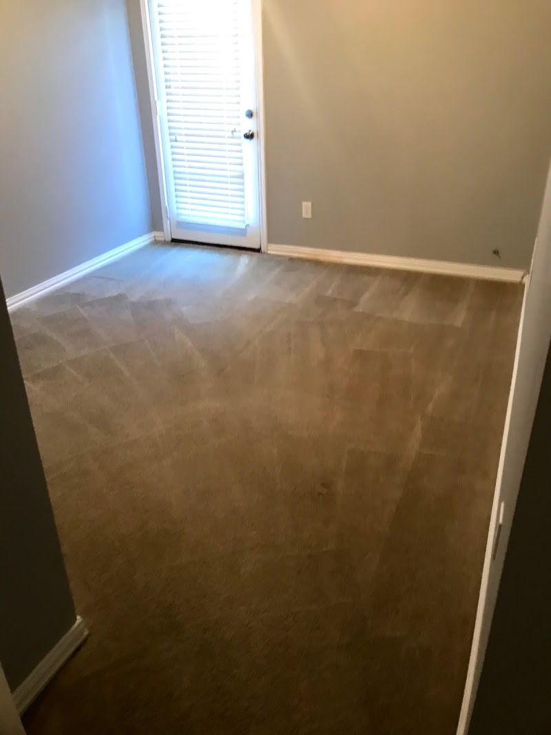 All Star Carpet Cleaning and Dye image 4