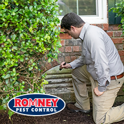 Romney Pest Control image 8
