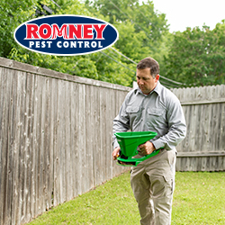 Romney Pest Control image 10