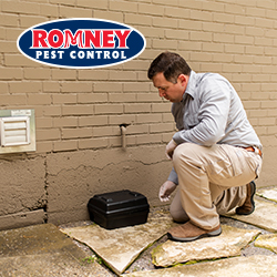Romney Pest Control image 9